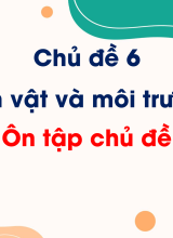 Ôn tập chủ đề Sinh vật và môi trường